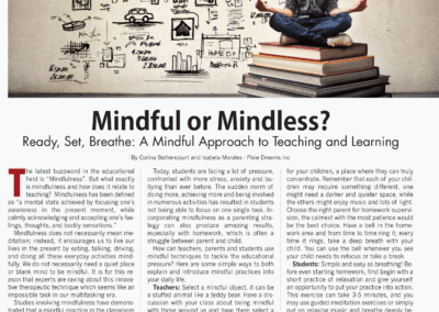 MINDFUL OR MINDLESS